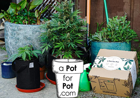 A Pot For Pot makes growing cannabis at home fun, affordable, and financially rewarding.