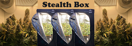 The Stealth Box is an ingenious four plant, plug and play grow box. The system produces several ounces of high quality, organic cannabis every grow cycle and the box is lightweight too.  Odor is neutralized through a physio-chemical process that is far superior to simply masking and overpowering odors. The stylish Stealth Box uses low draw LED lighting and features minimal heat/humidity, a locking cabinet, discreet packaging and a compact size - 20