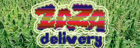 ZaZa Delivery